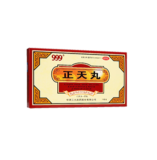 <dt>藥品名稱</dt><dd>正天丸</dd>